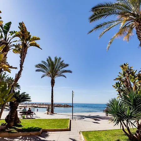 Gala Centro Castilla Torrevieja